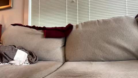 time4fun8837 online show from February 2026 07:32:01 PM