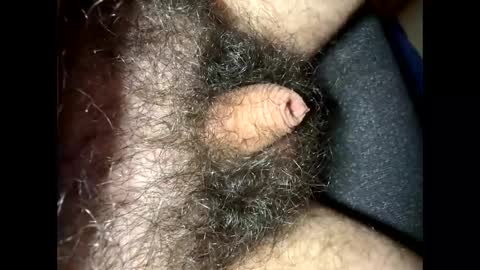 Snapshot of tinycocker chatting on September 2025 10:22:01 PM tinycocker online show from September 2025 10:22:01 PM