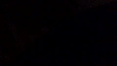 Tiny Jack online show from December 2024 10:34:02 AM