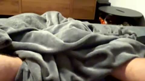 tmue online show from February 2026 02:17:02 PM