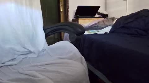 tolon408472 online show from November 2025 02:38:01 PM