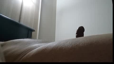 tommylecock online show from January 2025 01:36:01 PM