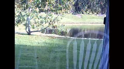 tonymcfly99 online show from February 2025 09:43:01 PM