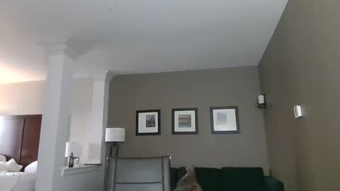 toomuchsmoke online show from February 2025 12:22:02 AM