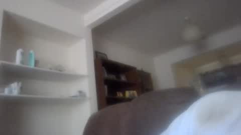 topfoxs30 online show from November 2025 01:33:02 PM