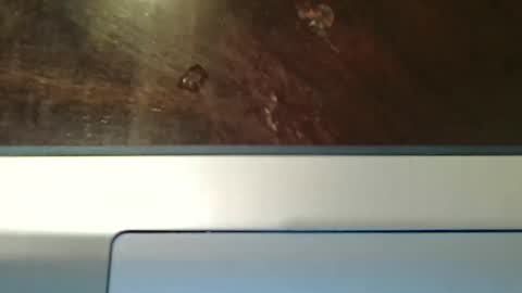 Snapshot of totxxx335 chatting on December 2025 08:57:01 PM totxxx335 online show from December 2025 08:57:01 PM