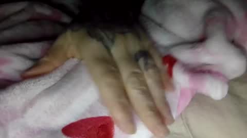 toxicanikki online show from January 2026 08:05:02 AM