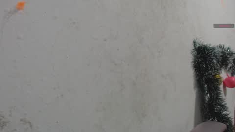 toxca69 online show from January 2026 04:59:01 AM