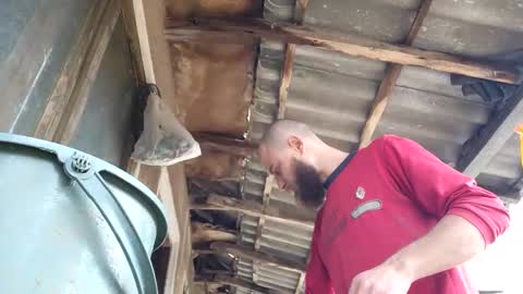 Tralalabala online show from March 2026 12:01:01 PM