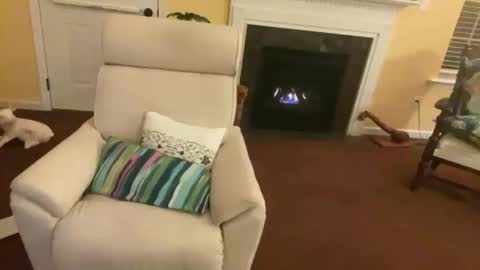 Snapshot of trannytush69 chatting on January 2025 03:55:01 AM USA GURL online show from January 2025 03:55:01 AM