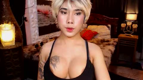 transpornidol online show from February 2026 07:10:02 PM