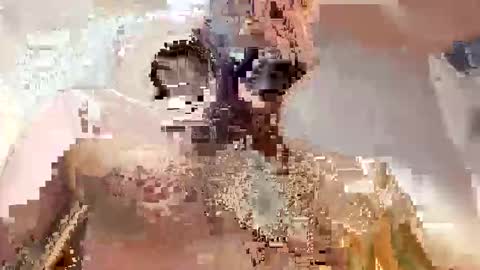 trex23rd online show from December 2025 09:47:02 AM