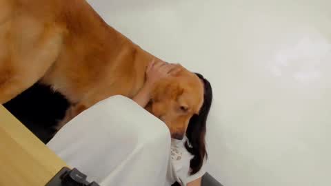 ts_danielahugecock_xxx online show from December 2024 12:43:02 AM