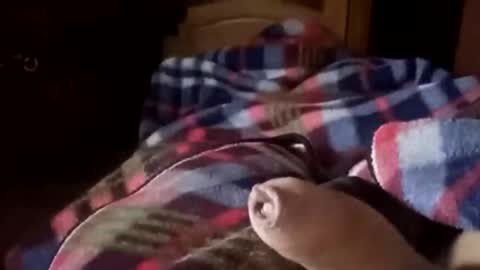 tseroone1 online show from January 2026 06:18:02 AM