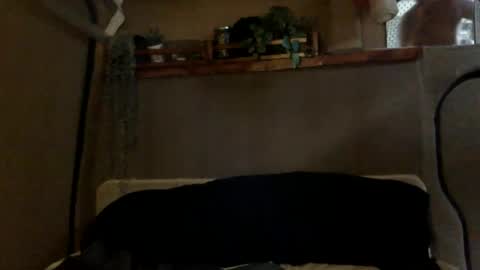 Tuhands online show from January 2025 03:01:02 PM