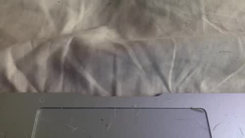 twinkybell online show from November 2025 06:19:01 PM