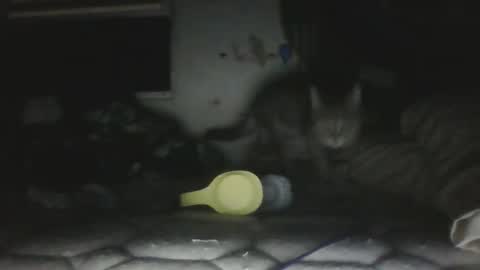 Snapshot of twonkydonk27 chatting on December 2025 10:15:02 PM twonkydonk27 online show from December 2025 10:15:02 PM