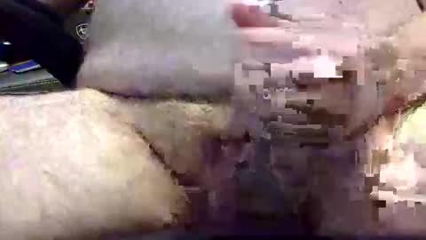 txranger6519 online show from April 2026 12:39:01 PM