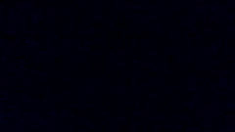 Snapshot of tyforsharing chatting on January 2025 07:51:02 AM Tyler Chen online show from January 2025 07:51:02 AM