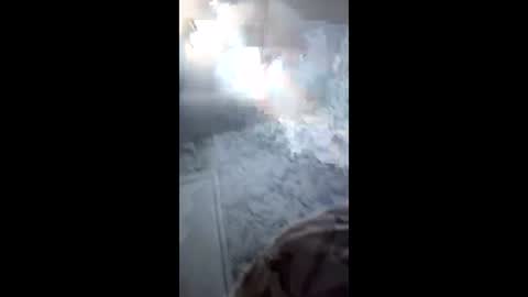 Tyvizex online show from January 2026 09:24:02 AM