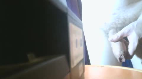 Snapshot of u02g2 chatting on December 2024 08:00:01 PM u02g2 online show from December 2024 08:00:01 PM