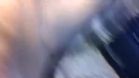 uncut7half237495 online show from October 2025 03:42:02 AM