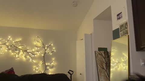 Snapshot of unhingedwang chatting on November 2025 11:47:02 PM wang online show from November 2025 11:47:02 PM