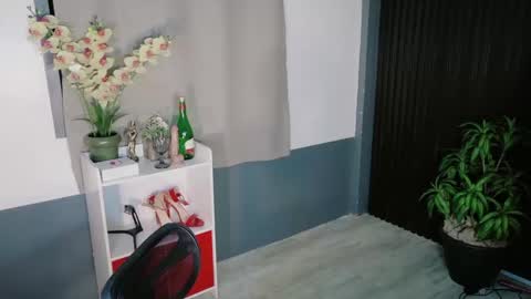 urfave_bbgirl online show from December 2025 09:29:02 AM