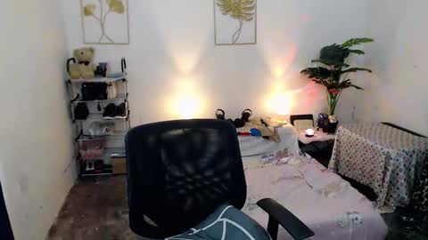 Bib online show from November 2025 05:20:01 AM