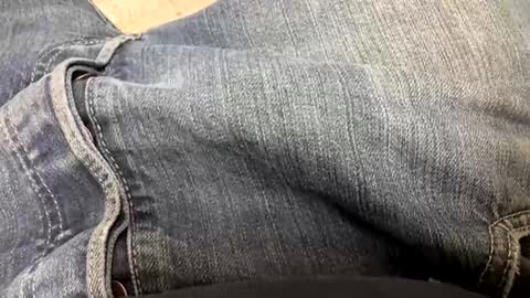 usabound online show from November 2025 07:36:02 PM