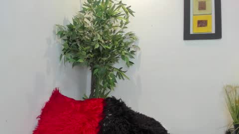 Snapshot of valeri_tafur chatting on November 2025 12:33:01 AM valeri_tafur online show from November 2025 12:33:01 AM