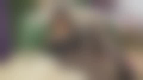 Vanessa online show from September 2025 06:06:01 AM