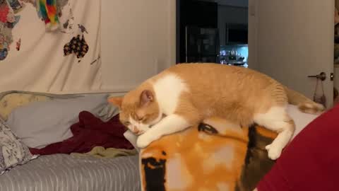 Vanessa  online show from December 2025 02:05:01 AM