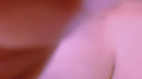 free  follow me online show from August 2026 09:28:01 PM