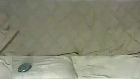 ventura50 online show from March 2025 08:30:01 AM