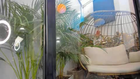 VENUS online show from November 2025 11:43:02 AM