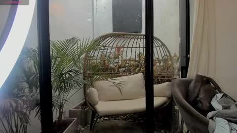 VENUS online show from January 2026 02:22:01 PM