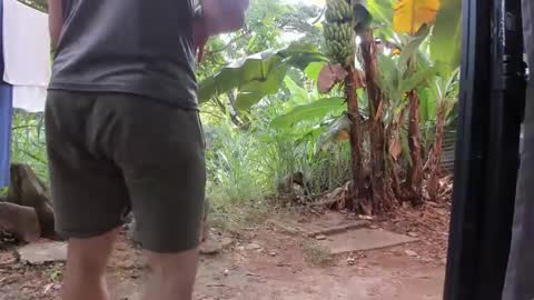 venus ... zeus sheer  online show from January 2025 01:11:01 PM