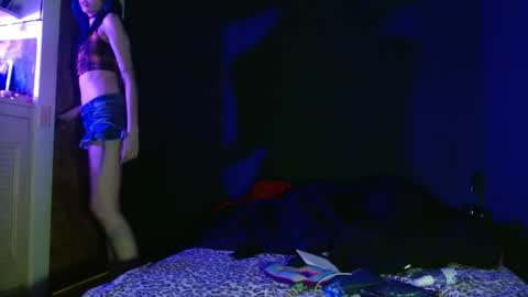 Snapshot of venuss6666 chatting on January 2025 04:15:01 AM Venus online show from January 2025 04:15:01 AM