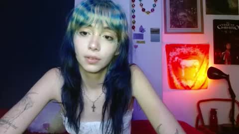 Snapshot of venuss6666 chatting on February 2025 12:19:02 AM Venus online show from February 2025 12:19:02 AM