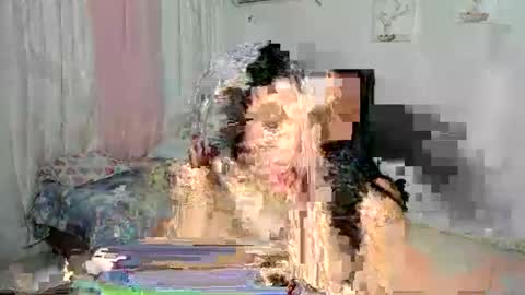 venus online show from November 2025 02:04:02 AM