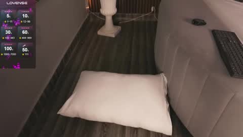 hi Im daniela  I will be online again in 15 hours after each transmission 3 online show from November 2025 11:30:01 PM