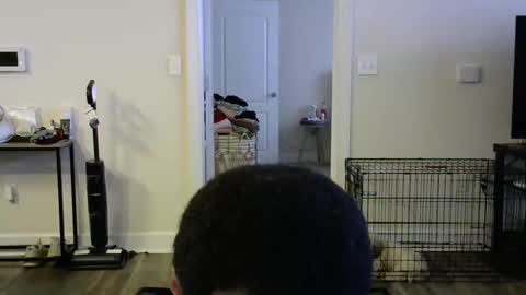 Snapshot of victoryd007 chatting on January 2025 09:30:01 PM victoryd007 online show from January 2025 09:30:01 PM