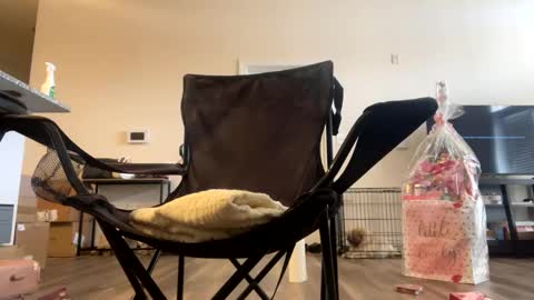 Snapshot of victoryd007 chatting on February 2025 07:25:02 PM victoryd007 online show from February 2025 07:25:02 PM