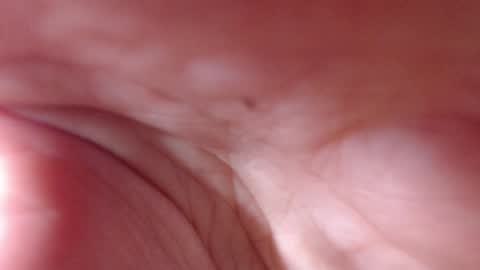 VictoryVega online show from September 2025 07:52:02 AM