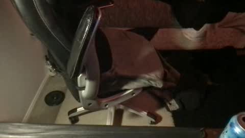 Viewsofpleasures online show from February 2025 09:37:01 AM