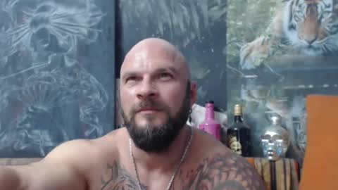 viking online show from September 2025 06:41:02 PM