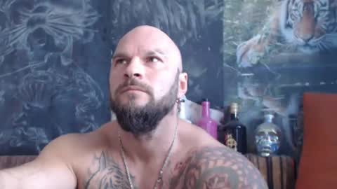 viking online show from October 2025 06:12:01 AM