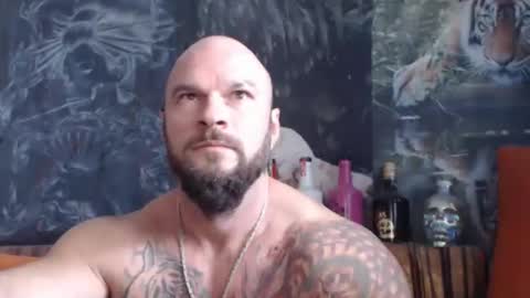 viking online show from October 2025 10:13:01 AM