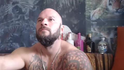 viking online show from October 2025 07:08:01 AM